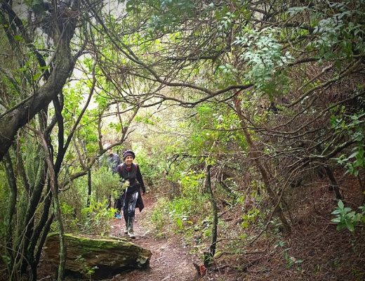 Paseo por el Barranco Sierra Carbonera