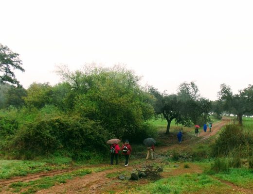 Ruta de las Migas, aldeas de Fuente Obejuna - Senderos Cordoba