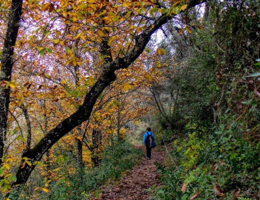 Otoño en la Sierra de Aracena