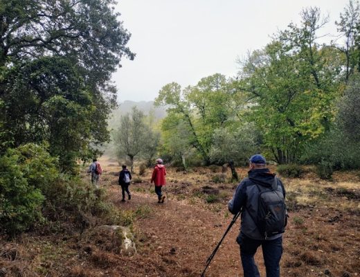 Paseo entre semana por los zumaques de Sierra Morena - Senderos Cordoba