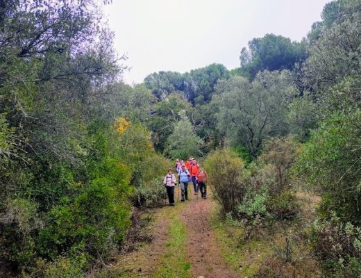 Paseo entre semana por el Camino de Sandua