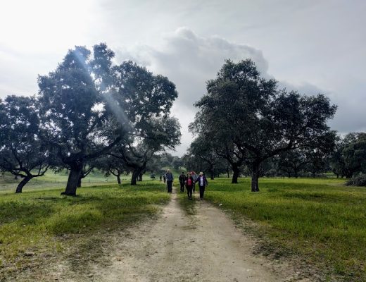 Ruta por Azuel y su fiesta de la moriclla - Senderos Cordoba