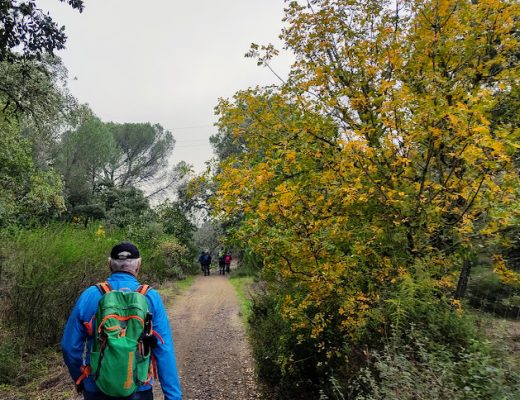 Paseo por la Vereda de la Canchuela