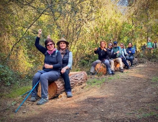 Paseo por el sendero botánico