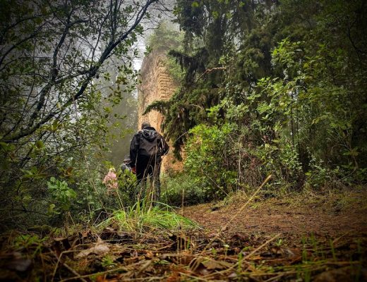 Entre semana por la ruta de las torres del Califato