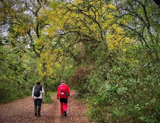 Paseo entre semana por las torres del Califato