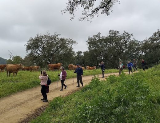 Miércoles en la Vereda de la Canchuela - Senderos Cordoba