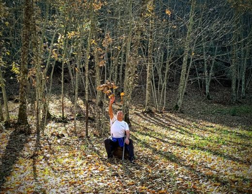 Paseo entre semana por los castaños de otoño