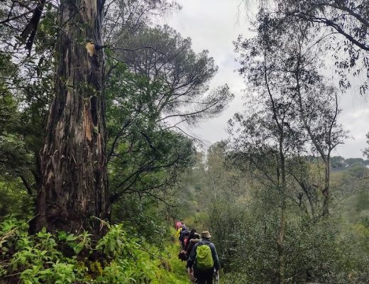 Senderismo entre semana por la Sierrezuela